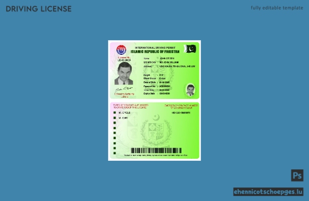 Beispiel für einen internationalen Führerschein aus Pakistan